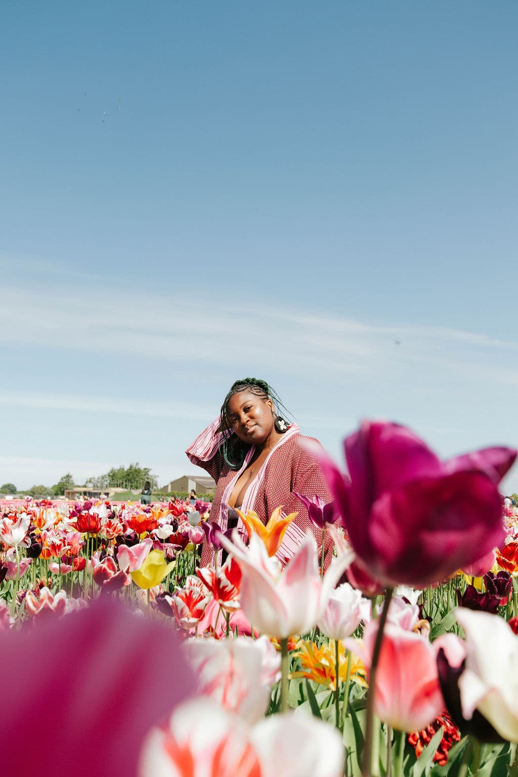 Zambarau — Wear Your Becoming — Liquid Lemn