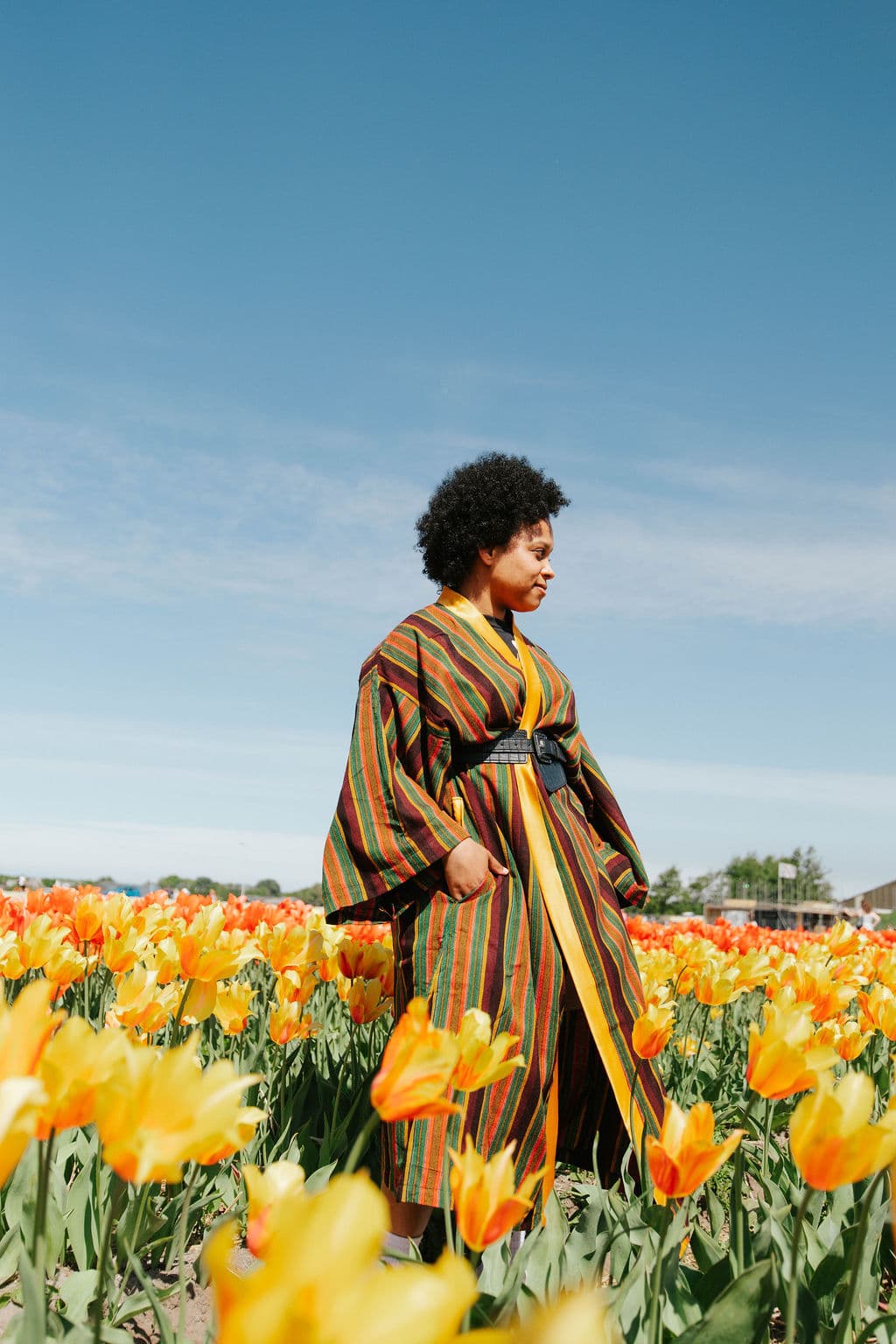 Mistari Collection — Liquid Lemn